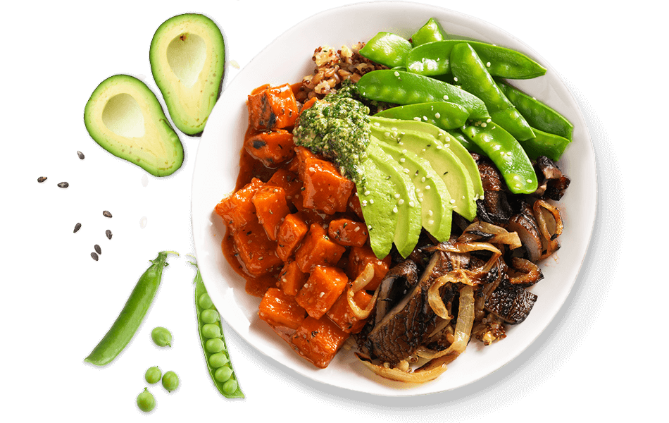 Example of a clear food photo for calorie estimation
